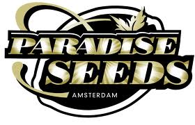 paradise seeds